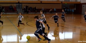 Loko Cup (2010-2)