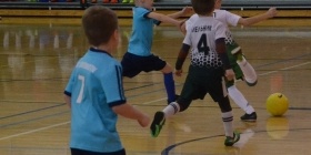Loko Cup (2010-2)