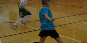Loko Cup (2010-2)