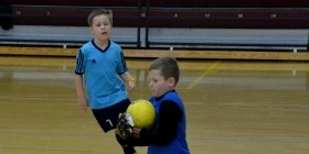 Loko Cup (2010-2)