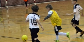 Loko Cup (2010-2)