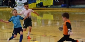 Loko Cup (2010-2)