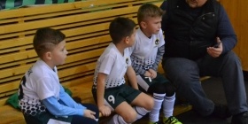 Loko Cup (2010-2)