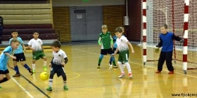 Loko Cup (2010-3)