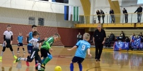Loko Cup (2010-3)