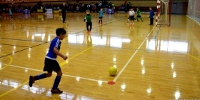 Loko Cup (2011-1)