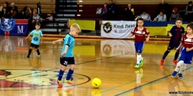 Loko Cup (2011-1)