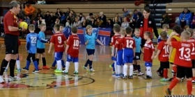 Loko Cup (2011-1)