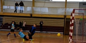 Loko Cup (2010-3)